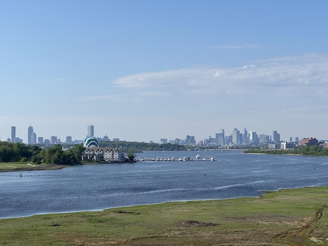 133 Commander Shea Blvd Unit 614, Quincy, MA 02171 - water view with city skyline