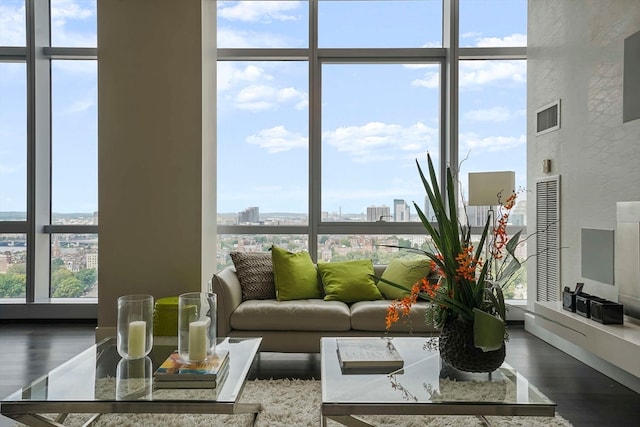 living room with floor to ceiling windows and dark hardwood / wood-style flooring