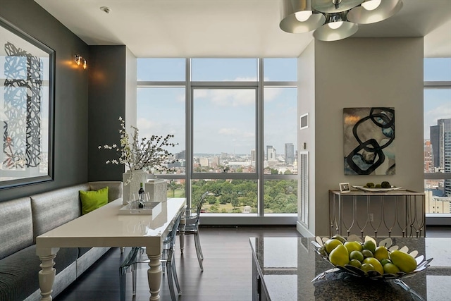 dining room with floor to ceiling windows and dark hardwood / wood-style flooring