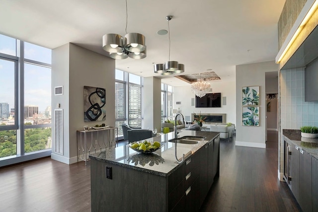 kitchen featuring an island with sink, a wealth of natural light, sink, and dark hardwood / wood-style floors