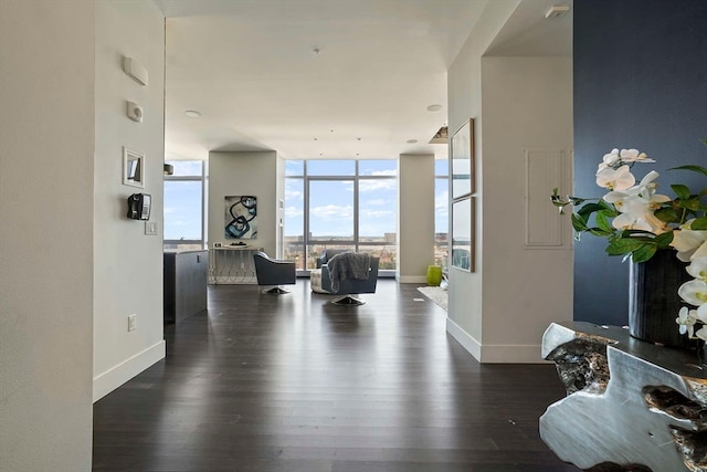 foyer entrance featuring dark wood-type flooring and a wall of windows