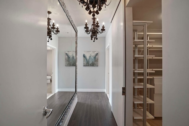 spacious closet featuring dark wood-type flooring