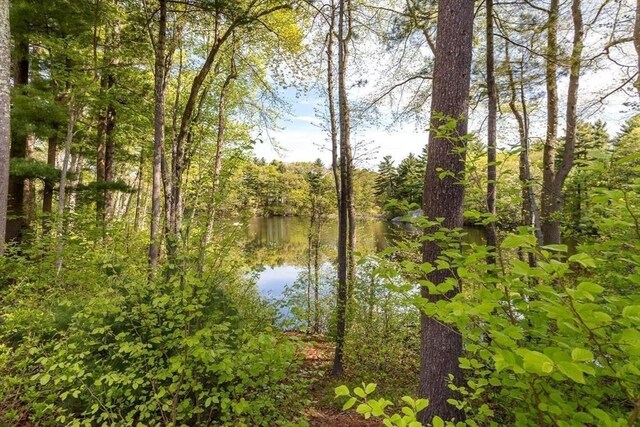 25 Kelly Way Unit 25, Canton, MA 02021 - water view
