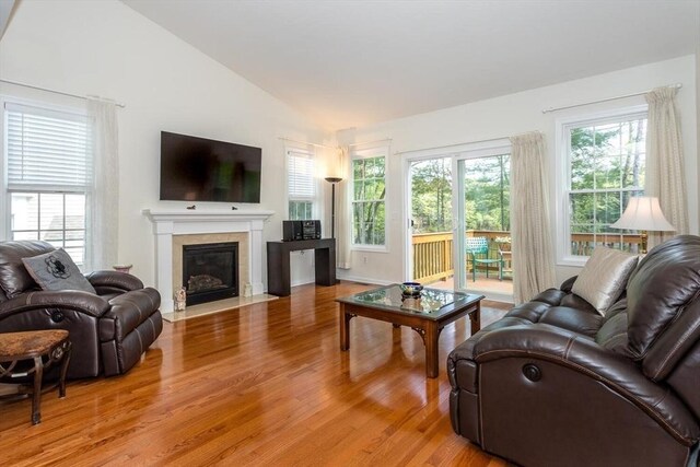 25 Kelly Way Unit 25, Canton, MA 02021 - living area featuring vaulted ceiling, light wood-style flooring, and a fireplace with flush hearth