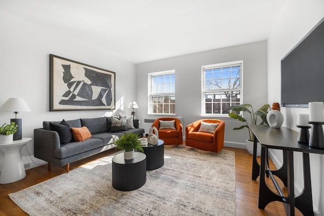 living room with wood finished floors