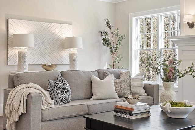 living area with crown molding