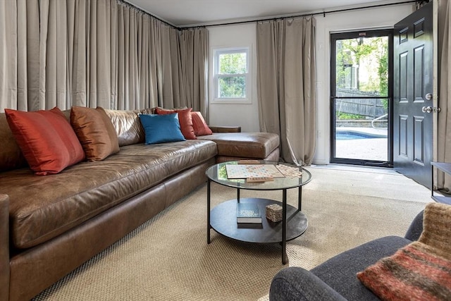 living area featuring carpet