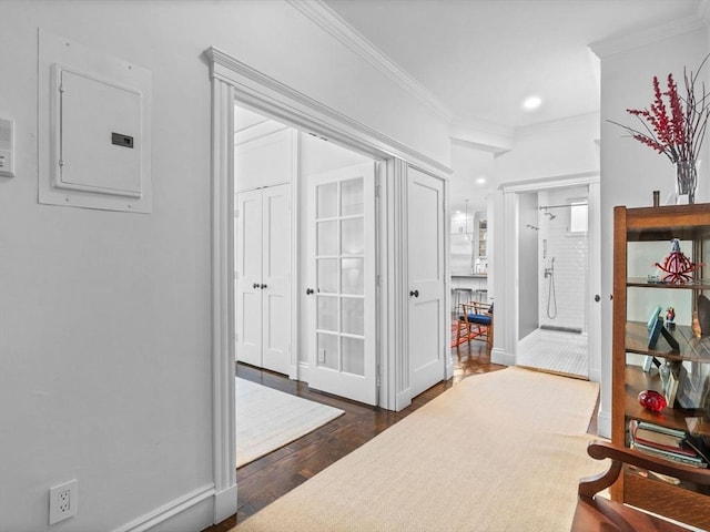 9 Sedgwick St Unit 1, Boston, MA 02130 - hallway featuring crown molding, dark wood finished floors, electric panel, and recessed lighting
