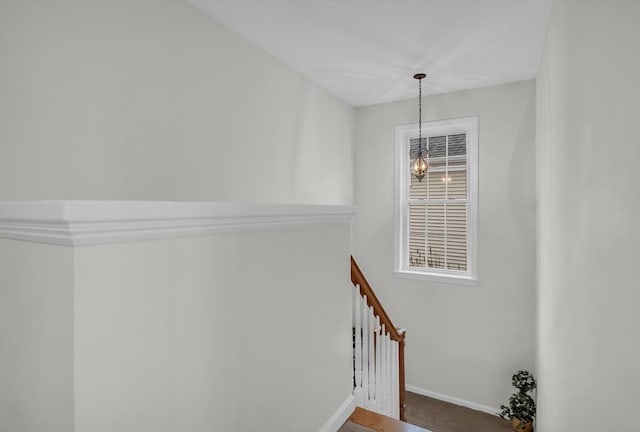 stairs with carpet floors