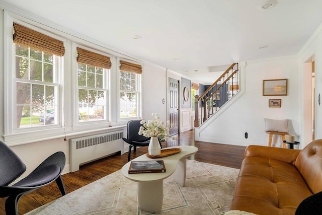 16 Hart Pl, Woburn, MA 01801 - living room featuring radiator heating unit, plenty of natural light, wood finished floors, and ornamental molding
