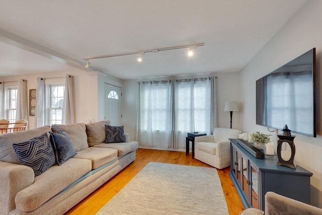 living room with light hardwood / wood-style floors