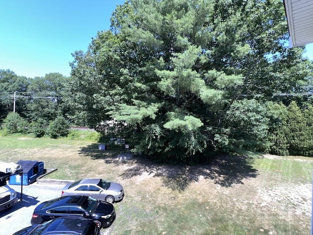 3 Bridgeview Cir Unit 55, Tyngsborough, MA 01879 - view of yard