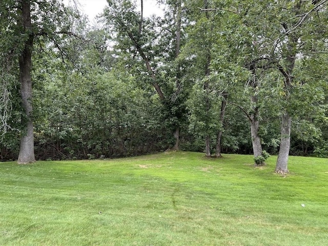 3 Bridgeview Cir Unit 55, Tyngsborough, MA 01879 - view of green lawn