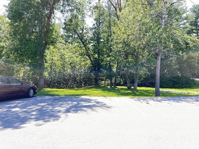 3 Bridgeview Cir Unit 55, Tyngsborough, MA 01879 - view of street
