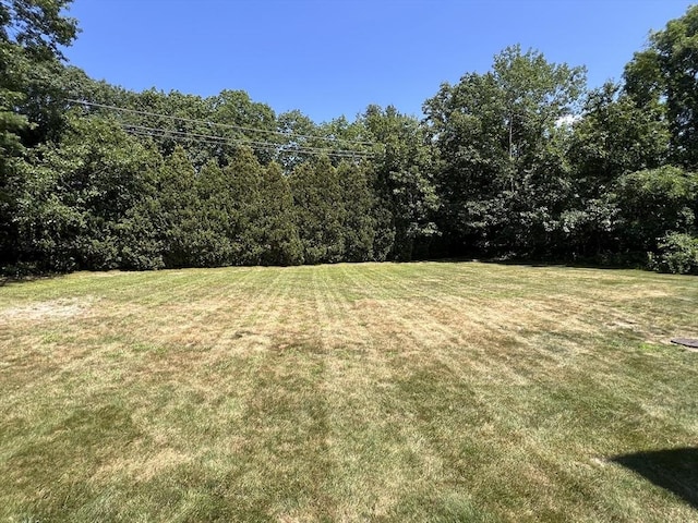 3 Bridgeview Cir Unit 55, Tyngsborough, MA 01879 - view of green lawn featuring a wooded view