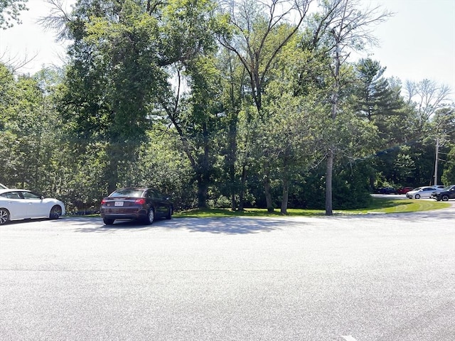 3 Bridgeview Cir Unit 55, Tyngsborough, MA 01879 - view of asphalt road