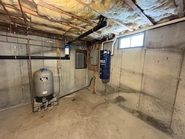 basement featuring electric panel