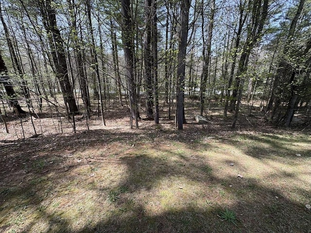 view of local wilderness