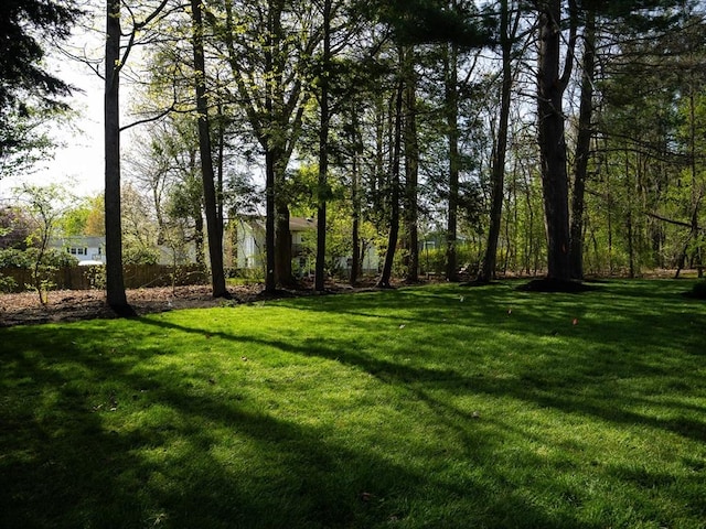 7 Brookdale Rd, Natick, MA 01760 - view of yard with fence