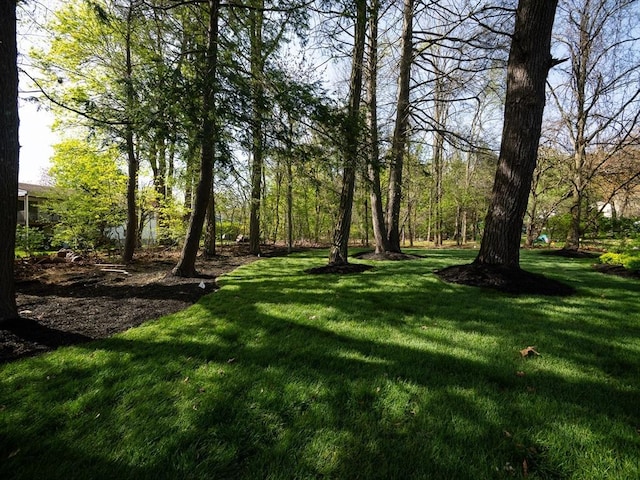 7 Brookdale Rd, Natick, MA 01760 - view of yard