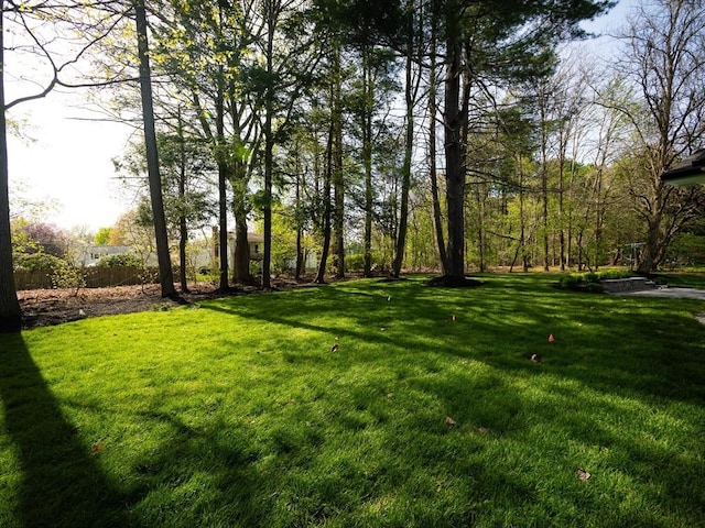 7 Brookdale Rd, Natick, MA 01760 - view of yard