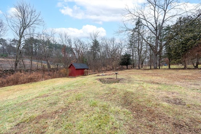 view of yard with an outbuilding