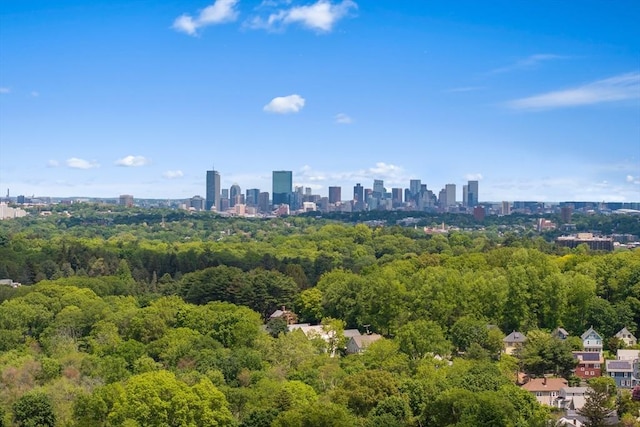 28 Fletcher St Unit 1, Boston, MA 02131 - aerial view of a heavily wooded area and city skyline