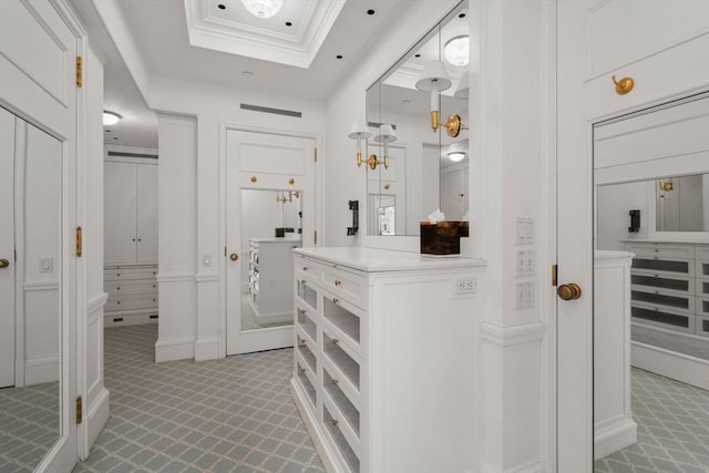 walk in closet featuring a raised ceiling, light colored carpet, and visible vents