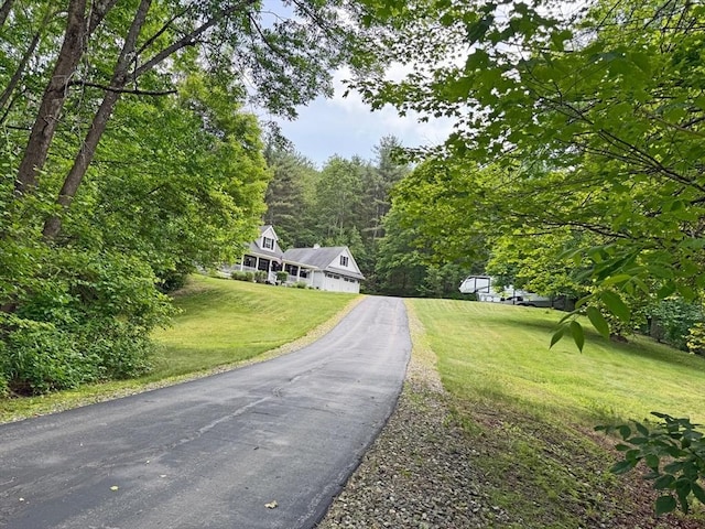 19 Orange Rd, Northfield, MA 01360 - view of front facade featuring driveway, a front yard, and a forest view