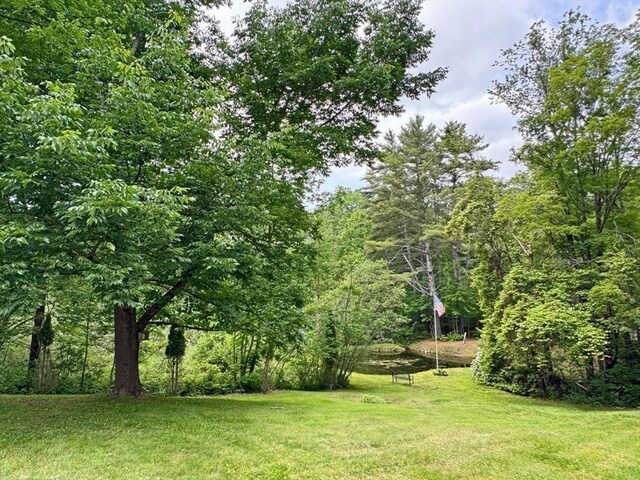 19 Orange Rd, Northfield, MA 01360 - view of grassy yard