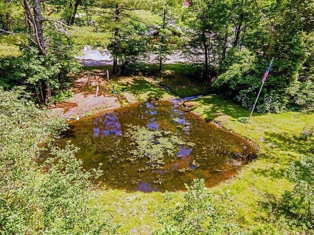 19 Orange Rd, Northfield, MA 01360 - view of yard