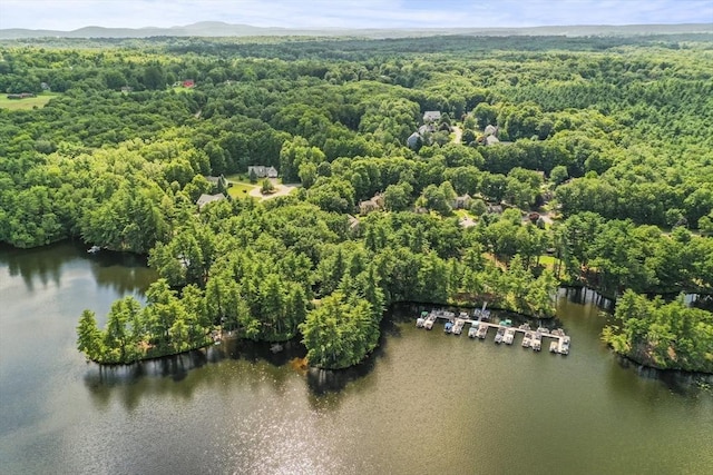 birds eye view of property with a water view and a wooded view