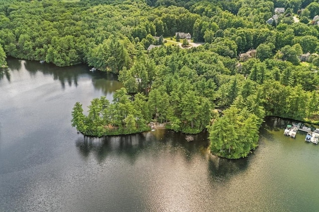 aerial view with a forest view and a water view