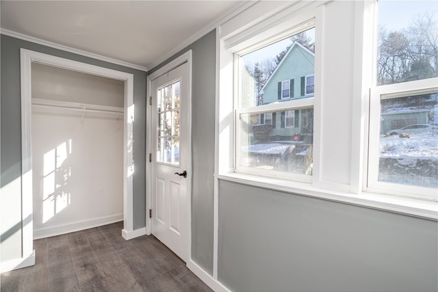 interior space with ornamental molding and dark wood-type flooring