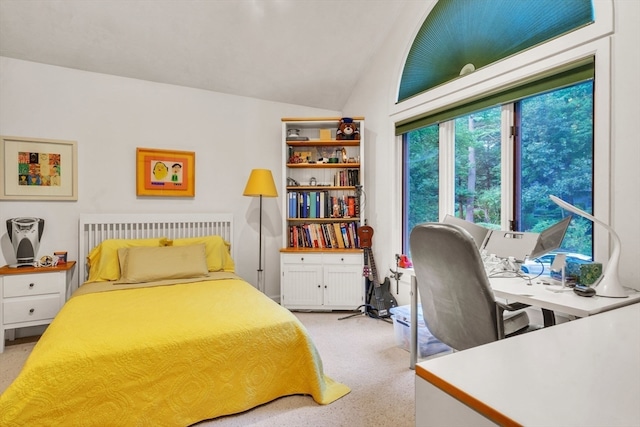 bedroom with lofted ceiling