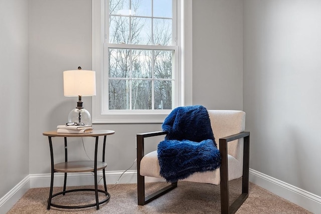 living area featuring carpet flooring