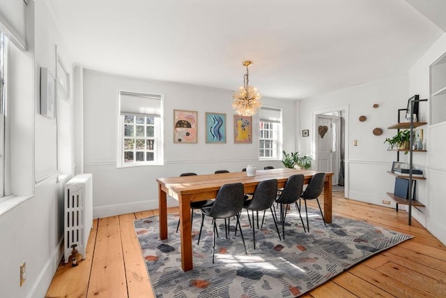 dining room featuring plenty of natural light, radiator, and light wood-type flooring