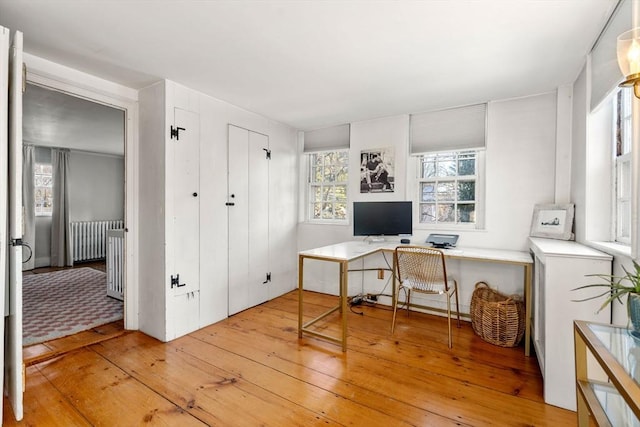 office featuring radiator heating unit and light hardwood / wood-style flooring