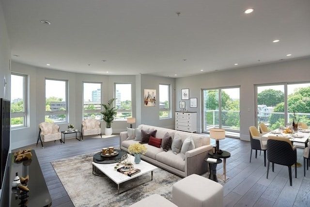 60 Newbury St Unit 10, Quincy, MA 02171 - living room featuring healthy amount of natural light, baseboards, wood finished floors, and recessed lighting