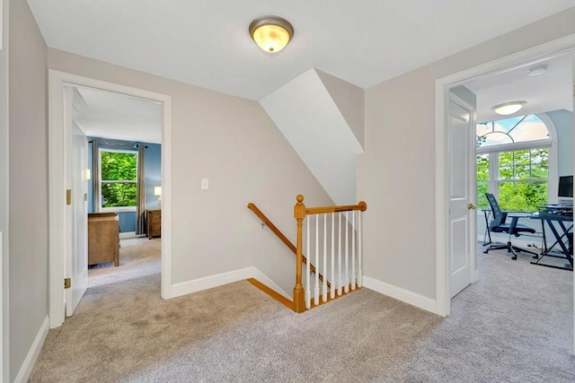 3 White Tail Dr, Tyngsborough, MA 01879 - hallway featuring an upstairs landing, light colored carpet, and baseboards