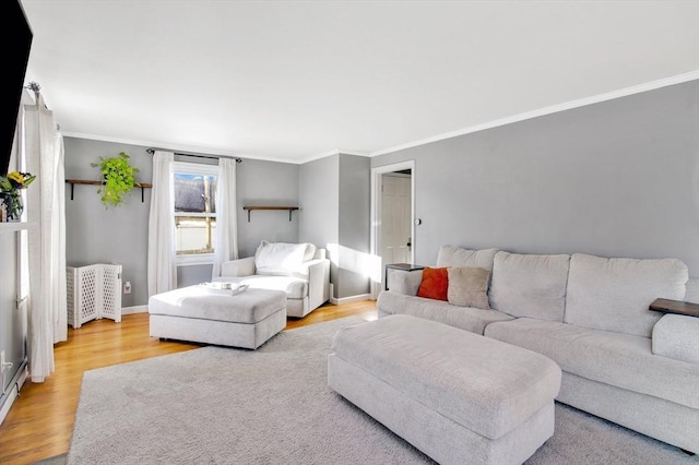 living room featuring wood-type flooring and ornamental molding