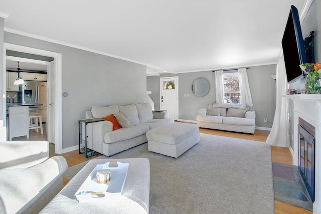 living room with crown molding and light hardwood / wood-style flooring