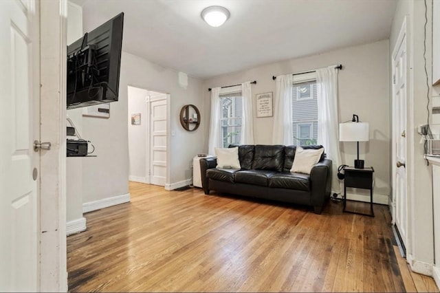 53 Euclid Ave, Springfield, MA 01108 - living room featuring light wood-type flooring and baseboards