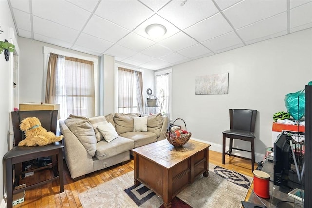 53 Euclid Ave, Springfield, MA 01108 - living area with a drop ceiling, healthy amount of natural light, and light wood-style flooring