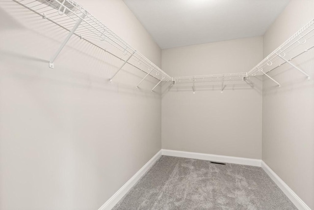 13R Pine Hill Way Unit 13, Harvard, MA 01451 - spacious closet featuring visible vents and carpet flooring