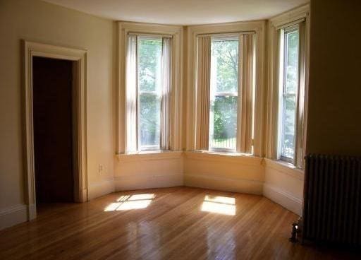 14 Bellevue St, Boston, MA 02125 - spare room with radiator and wood finished floors