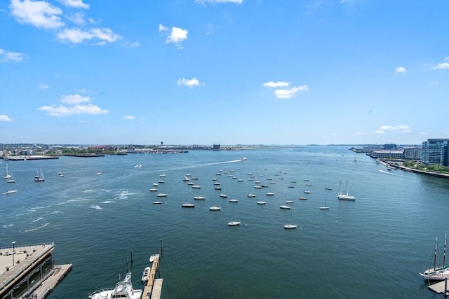 85 E India Row Unit 18B, Boston, MA 02110 - water view