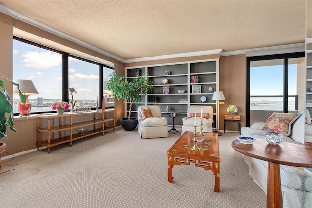 85 E India Row Unit 18B, Boston, MA 02110 - living area featuring carpet, healthy amount of natural light, ornamental molding, and a textured ceiling