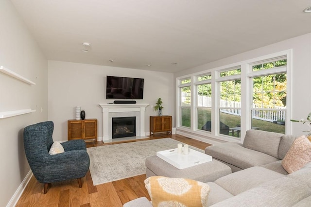 living room featuring baseboards, a fireplace with flush hearth, and wood finished floors