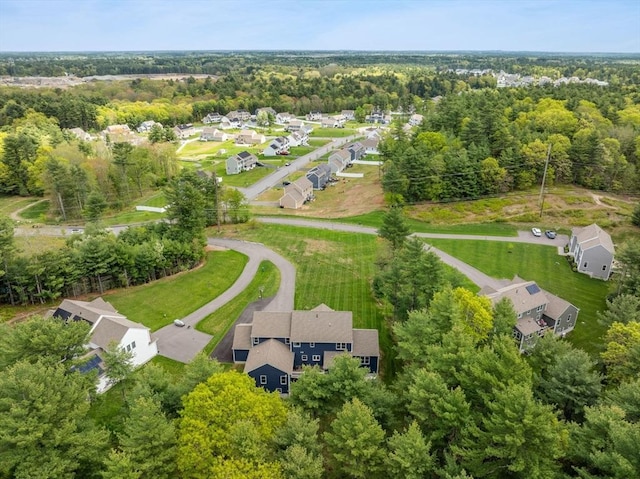 drone / aerial view of a forest